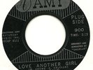 CLASSIC NORTHERN 45 THE RAYS LOVE ANOTHER GIRL on AMY HEAR
