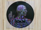 Tool - Lateralus 6 Track US PROMO Picture Disc Vinyl LP mint Puscifer