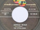 R&B Tittyshaker 45 – THE DYNA-SORES – Jungle Walk – RENDEVOUS VG
