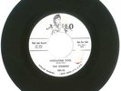 RARE 45 RPM, The Striders, Apollo Records 480 DJ Promo, Hesitating Fool/I Wonder