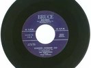 RARE 45 RPM, The Harptones, Bruce Records 113, Oobidee Oobide Oo, Since I Fell