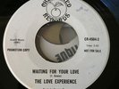 RARE SWEET SOUL / SOUL FUNK......THE LOVE EXPERIENCE (CHERRY RED)