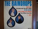RAINDROPS  - The Raindrops   Jeff Barry Brill Building pop doo wop Lp