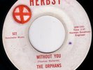 THE ORPHANS-WITHOUT YOU/HEY GYP (unreleased garage rock/former Als Untouchables)