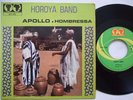 HOROYA BAND NATIONAL apollo SYLIPHONE RARE MANDING ?