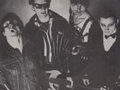 the damned new rose 7