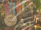 THE BEATLES....SGT.PEPPERS LONELY HEARTS CLUB BAND ..PICTURE DISC..LP..1960'S