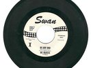 BEATLES SIE LIEBT DICH WHITE LABEL PROMO 45