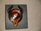 Venom Rare Manitou Shaped Picture Disc