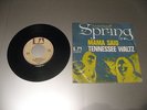 AMERICAN SPRING (BEACH BOYS BRIAN WILSON) DUTCH PS 7 /45 IN NEAR MINT CONDITION