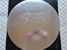 GRAND FUNK RAILROAD / E PLURIBUS FUNK JAPAN LP / TERRY KNIGHT, RARE, EX