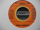 *listen*IN-DEMAND 60s NORTHERN  John Roberts 