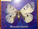 Parnassius LP Francesco Guccini RARISSIMO