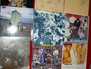 The WHO   Phases  LP Box  Nur 8 Lps