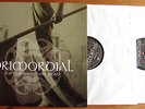   PRIMORDIAL - To the nameless Dead Double Gatefold LP  