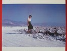PINBACK.BLUE SCREEN LIFE.2001 ACE FU.CLEAR VINYL.2LP GATEFOLD.MINT MINUS.