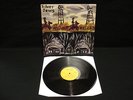 Silver Jews: The Arizona Record Vinyl LP Rare OOP Pavement Drag City