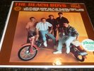 Beach Boys Lost and Found Rare LP Color Vinyl