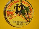 TOP CAT - TAKE IT DOWN LOW - SUNJAM RECORDS 1989 DIGITAL DANCEHALL KILLER