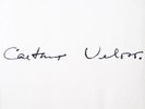 CAETANO VELOSO 1969 IRENE ROGERIO DUPRAT PSYCH FOLK ROCK TROPICALIA BRAZIL