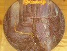 ENTOMBED left hand path PIC-LP grave dismember carnage ORIG. Earache Rec. TOP