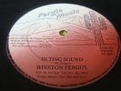 Winston Fergus In Ting Sound Mega Killer Digi 12