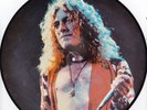 Led Zeppelin 1972 Interview Picture Disc LP