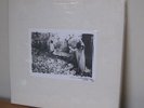 SUNN O))) White 4xLP BOX SEALED khanate boris ktl earth isis burzum