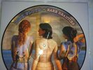 PINK FLOYD   RARE BEAUTIES   RARE LIMITED EDITION PICTURE  DISC .
