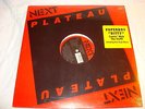 PAPERBOY DITTY-DIVINE STREET 5 MIXES-NEXT PLATEAU 162 350 012-1 NEW SEALED 12