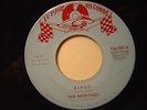 THE WEEKENDS (GG) RINGO / Want You LE MANS 001 TEENER Beatles Novelty 45 Record