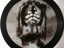 KISS Picture Disc 