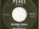NEW HUDSON EXIT  mod soul freakbeat 45  Too Many People/Fantasy Day - NM