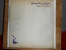 Babyshambles - Down In Albion D-LP