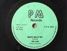 WHITE BELLY RAT / VAMPIRE Jah Lion Lee Perry black ark recording PM UK 1978