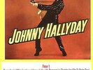 Johnny  HALLYDAY : RARE 25CM  