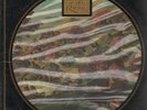 LEONARD ROSENMAN lord of the rings LP 15 track double pic disc in die cut gatefo