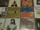 12 Vinyl Oasis, Rise Against, Placebo,Ärzte, Elvis, Peter Fox, Jan Delay