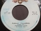HERMANDAD LATINA FREDDY TARA SALSA GUAGUANCO PERU EX LAST COPY