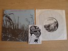 SARAH RECORDS NO. 7: ANOTHER SUNNY DAY - I'M IN LOVE WITH A GIRL - 7 INCH SINGLE