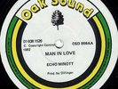 oak sound 12