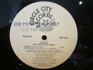 CIRCLE CITY BAND 12