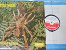 The Web - Theraphosa Blondi (Orig. 1969 Deram SML-R 1058) RARE UK Progressive