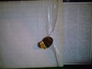 PINK FLOYD THE WALL JAPAN 1st PRESS 2LP