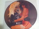 IRON MAIDEN - LAST PUB GIG LONDON 1980 picture disc