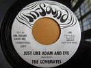THE LOVEMATES -BOOMERANG/ADAM&EVE- 7