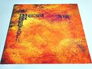 And You Will Know Us By the Trail of Dead-Source Tags & Codes [Vinyl]-LP/Vinyl