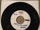 WONDER YEARS / FALLEN FROM THE SKY uti split 7