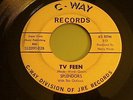 Garage Rocker Rarity The Splendors with the Outlaws TV FEEN  c-way 02