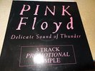 PINK FLOYD THE DELICATE SOUND OF THUNDER 3 TRACK PROMO SAMPLE EP RECORD NM- NR